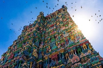 12 Days- Best of South India
